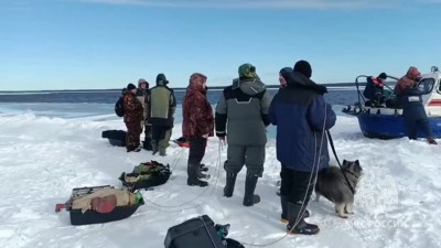 Зимующая в Финском заливе корюшка вынуждает рыбаков рисковать жизнью