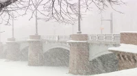 Петербург «завалило» рекордным количеством снега за последние 60 лет