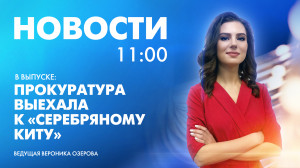 Новости Петербурга к 11:00