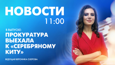 Новости Петербурга к 11:00