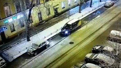 Неизвестный выбросил собаку из окна в доме на Васильевском острове