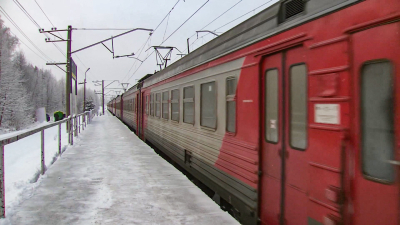 Более 10 тысяч петербуржцев воспользовались зимой «Лыжными стрелами»