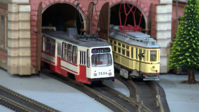 В Петербурге открыли юбилейную выставку миниатюрных поездов и электричек