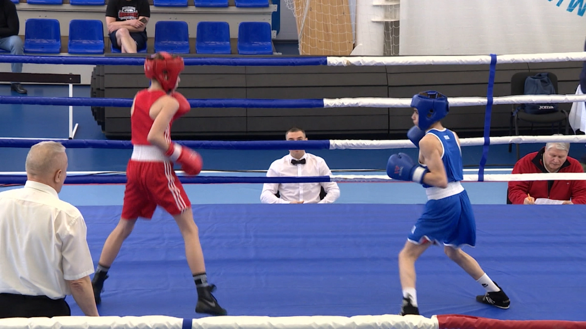 Петербург на чемпионате мира по боксу в Дубае представят двое спортсменов - tvspb.ru