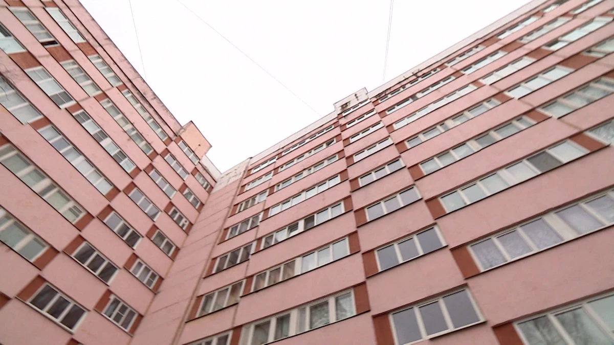 Тело 8-летней девочки нашли под окнами многоэтажки в Парголово - tvspb.ru