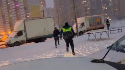 Водитель, оскорблявший русских, набросился на петербургских полицейских и скрылся
