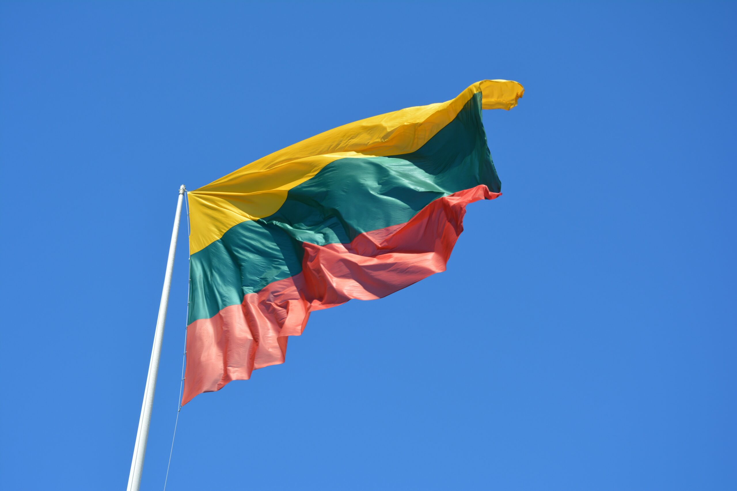 В Литве могут запретить россиянам получать литовское гражданство