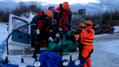 В Петербурге спасатели достали из полыньи собаку