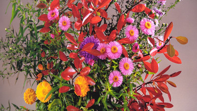 В Михайловском замке открылась выставка «Весна. Любовь. Искусство»