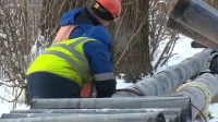 Вдоль Павловского шоссе реконструируют трубопроводы