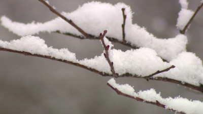 МЧС предупреждaет петербуржцев о сильном снегопaде 29 мaртa