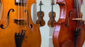 Пятая Всероссийская выставка скрипичных мастеров в Шереметевском дворце