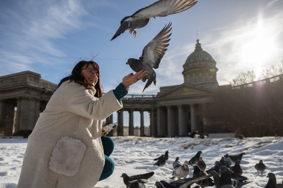 Среднесуточная температура в Петербурге выросла почти на 7 градусов - tvspb.ru