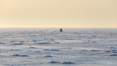 На берегу Финского залива нашли тело неизвестного в гидрокостюме