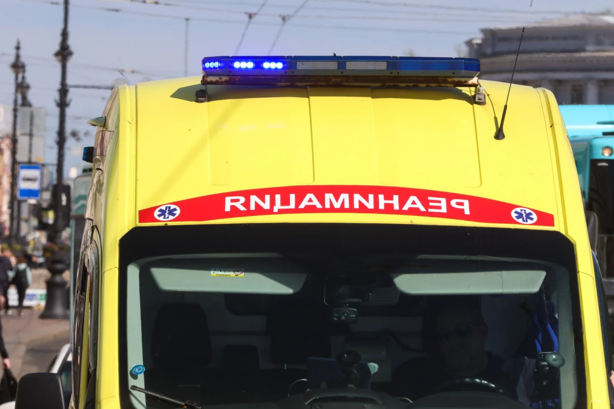 Водитель автомобиля погиб в ДТП с грузовиком на трассе в Ленобласти - tvspb.ru
