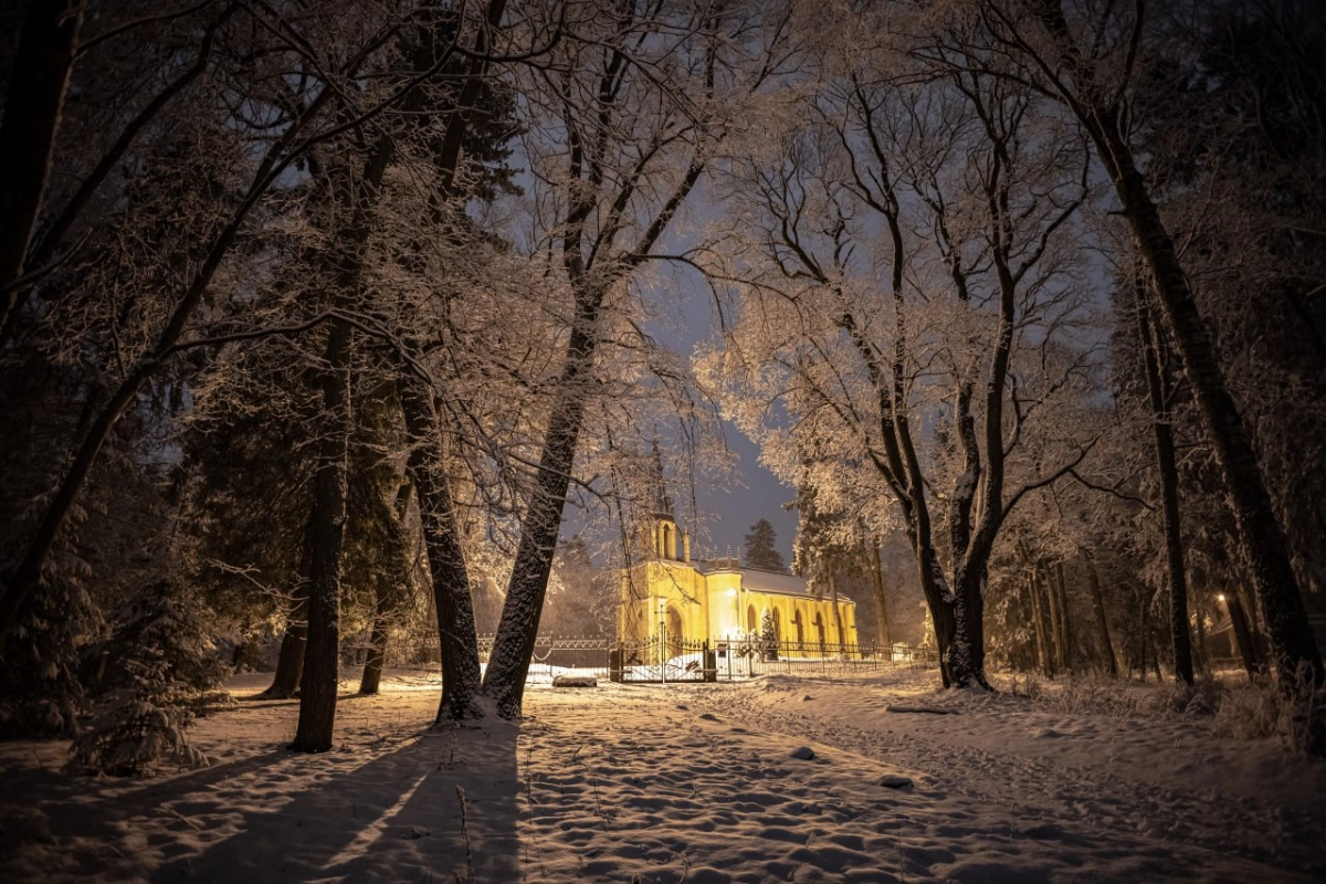 Снежный шторм принес зимнюю сказку в весенний Петербург - tvspb.ru