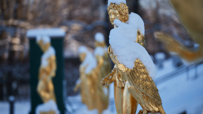 Снег не повредил скульптуры Петергофа