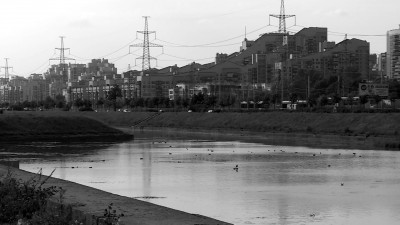 Тело пропавшей два месяца назад уроженки Набережных Челнов нашли в Дудергофском канале