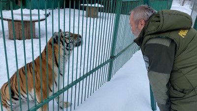 Накануне Международного женского дня сотрудники Росприроднадзора посетили хоспис «Дом тигра»