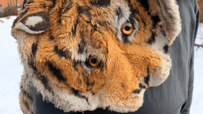 В Ленинградском зоопарке ловили сбежавшего «тигра»