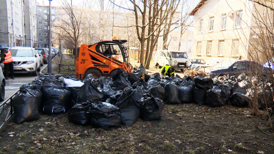 С улиц Петербурга за время весеннего месячника вывезли более 5 тысяч кубометров мусора