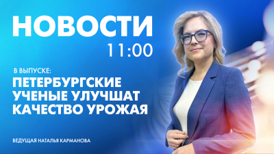 Новости Петербурга к 11:00