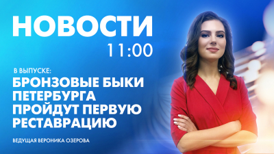 Новости Петербурга к 11:00