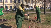 В рамках месячника благоустройства в Петербурге очистили 75 млн метров территорий