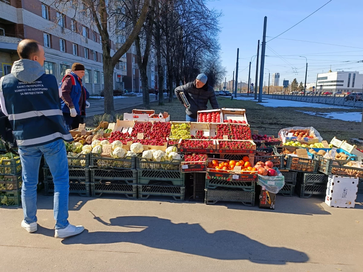 Незаконные объекты торговли ликвидировали в шести районах Петербурга - tvspb.ru