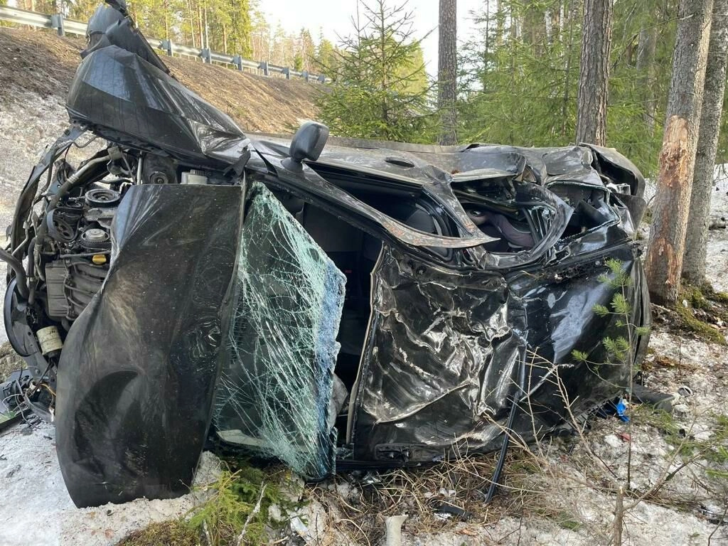 Женщина и трое детей пострадали в аварии на трассе в Выборгском районе - tvspb.ru