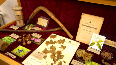 В Ботаническом музее показали редкие экспонаты, рассказывающие о научной жизни сада