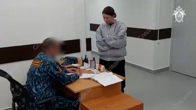 СК показал видео с Еленой Блиновской, которую доставили на допрос