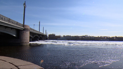 В Петербурге в среду воздух прогреется до + 14 градусов