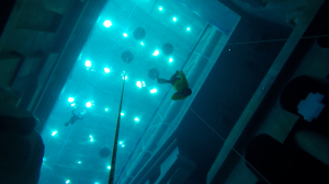 Погружение в себя и путь в бесконечность: осваиваем фридайвинг