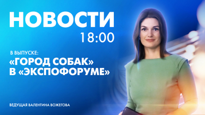 Новости Петербурга к 18:00