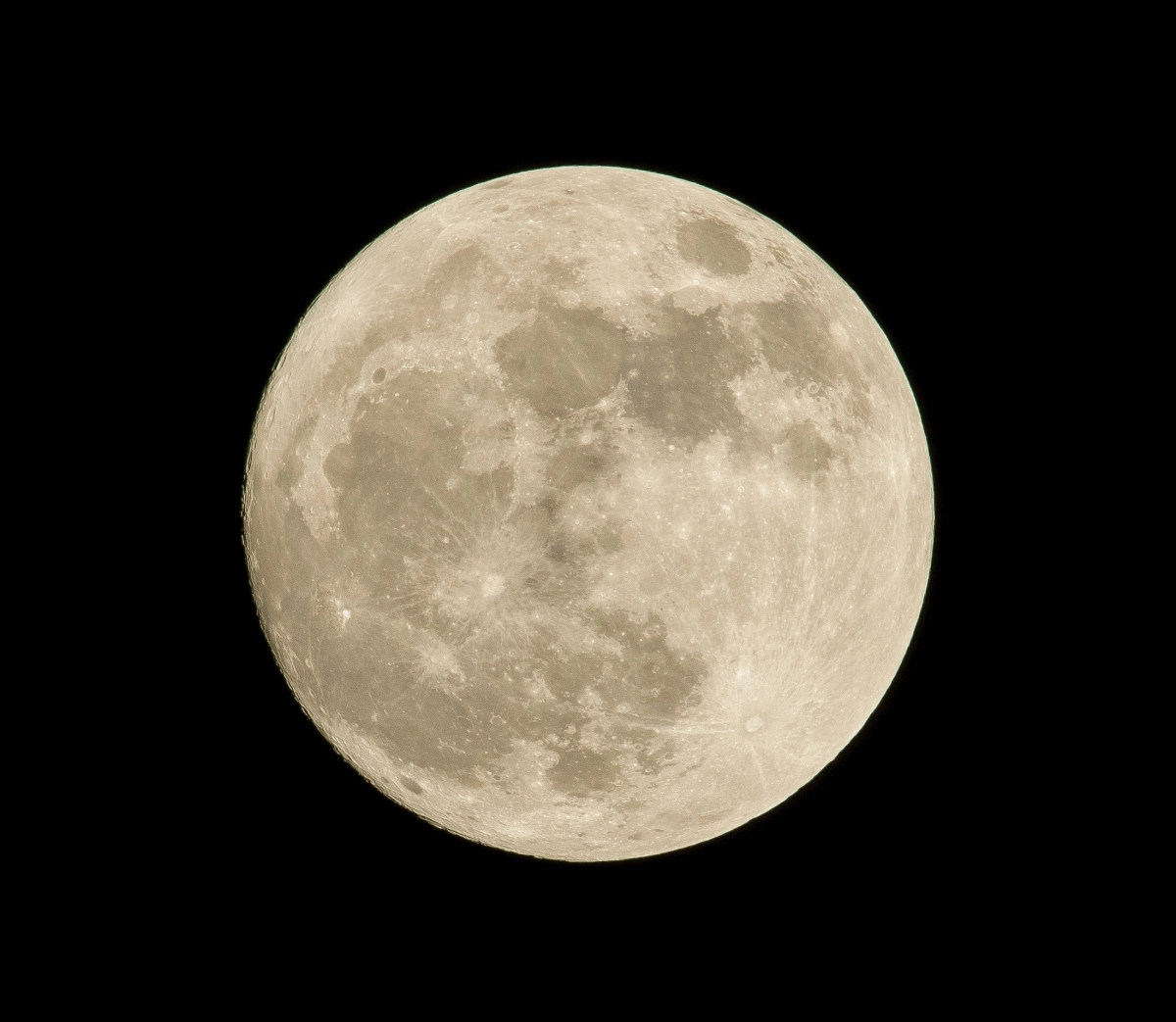 «Луна-25» могла образовать новый кратер на поверхности спутника Земли - tvspb.ru