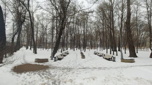 Петербургские парки и сады после зимы