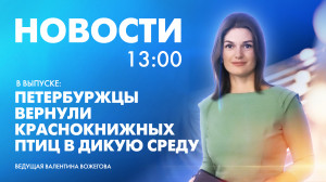 Новости Петербурга к 13:00