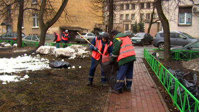 Петербуржцам объяснили, почему не стоит беспокоиться за состояние газонов после зимы