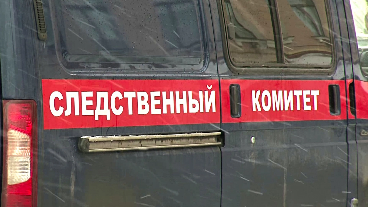 СК заинтересовался нападением енота на школьницу в Петербурге - tvspb.ru