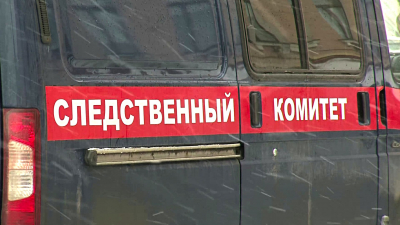 СК заинтересовался нападением енота на школьницу в Петербурге