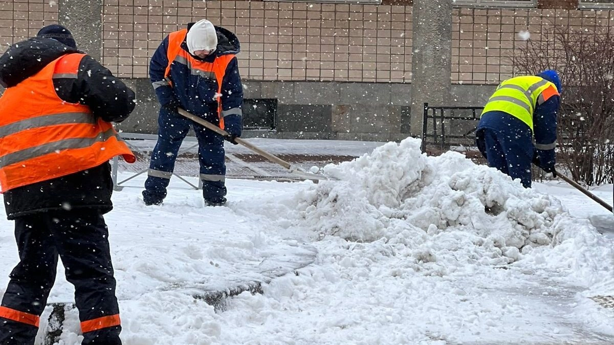 В Петербурге за зиму выпало больше двух метров снега - tvspb.ru