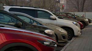 141 улица и более 10 000 парковочных мест. Петроградский район готовится стать зоной платной парковки