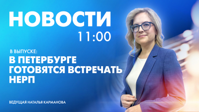 Новости Петербурга к 11:00