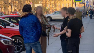 Петербуржцам объяснили, почему опасно трогать экзотических животных на улицах города