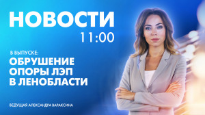 Новости Петербурга к 11:00