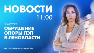 Новости Петербурга к 11:00