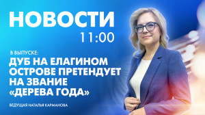 Новости Петербурга к 11:00