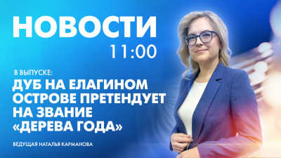 Новости Петербурга к 11:00