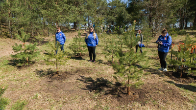 27 миллионов деревьев планируют посадить по всему миру в этом году в рамках акции «Сад памяти»